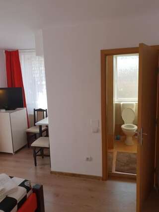 Гостевой дом Guest House Andrei Клуж-Напока Двухместный номер с 1 кроватью-9