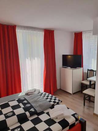 Гостевой дом Guest House Andrei Клуж-Напока Двухместный номер с 1 кроватью-10