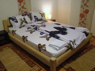 Гостевой дом Guest House Andrei Клуж-Напока Двухместный номер с 1 кроватью-4