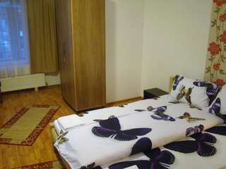 Гостевой дом Guest House Andrei Клуж-Напока Двухместный номер с 1 кроватью-5
