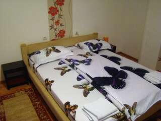 Гостевой дом Guest House Andrei Клуж-Напока Двухместный номер с 1 кроватью-6