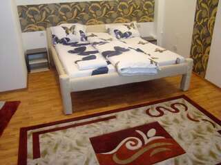 Гостевой дом Guest House Andrei Клуж-Напока Улучшенный двухместный номер с 1 кроватью-5