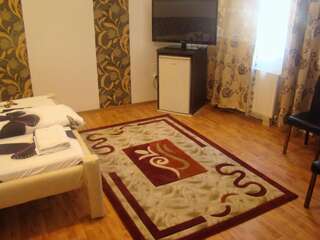 Гостевой дом Guest House Andrei Клуж-Напока Улучшенный двухместный номер с 1 кроватью-6
