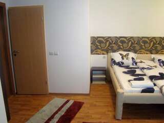 Гостевой дом Guest House Andrei Клуж-Напока Улучшенный двухместный номер с 1 кроватью-9