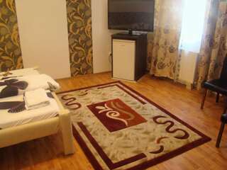 Гостевой дом Guest House Andrei Клуж-Напока Улучшенный двухместный номер с 1 кроватью-11