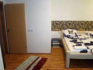 Гостевой дом Guest House Andrei Клуж-Напока Улучшенный двухместный номер с 1 кроватью-14