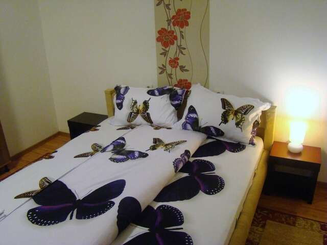 Гостевой дом Guest House Andrei Клуж-Напока-35